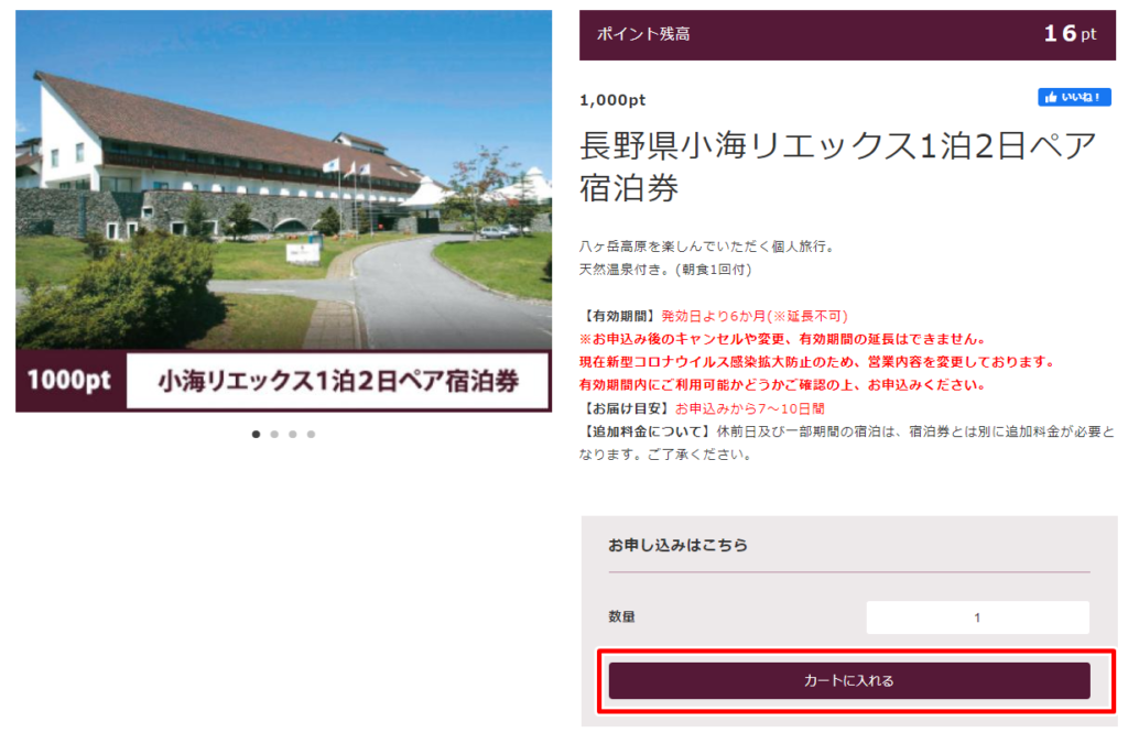 シャトレーゼ ガトーキングダム 小海 一泊二日朝食付ペアご宿泊招待券 怖く